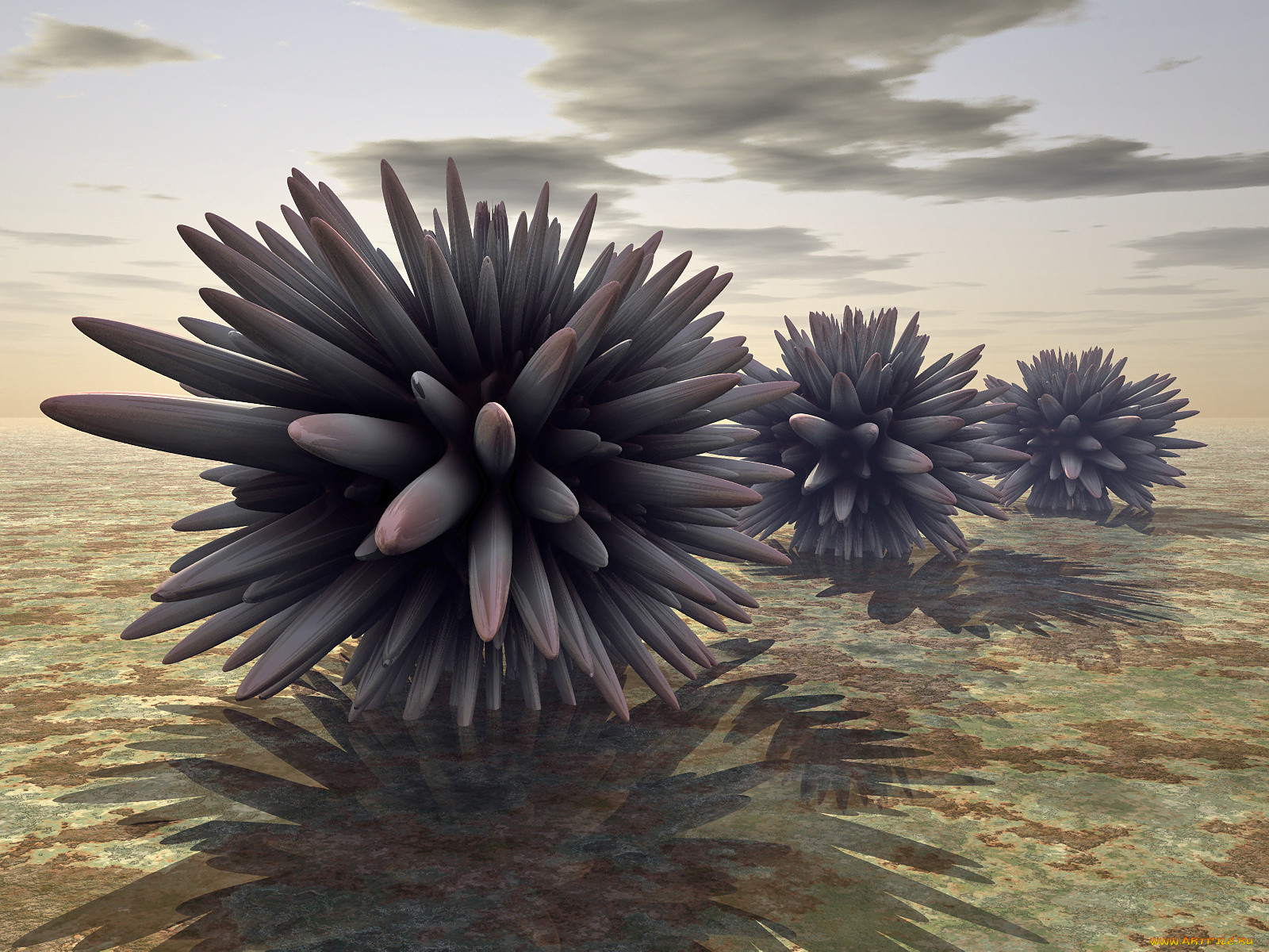 3, , abstract, , 